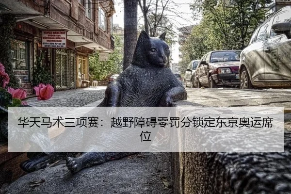 华天马术三项赛：越野障碍零罚分锁定东京奥运席位