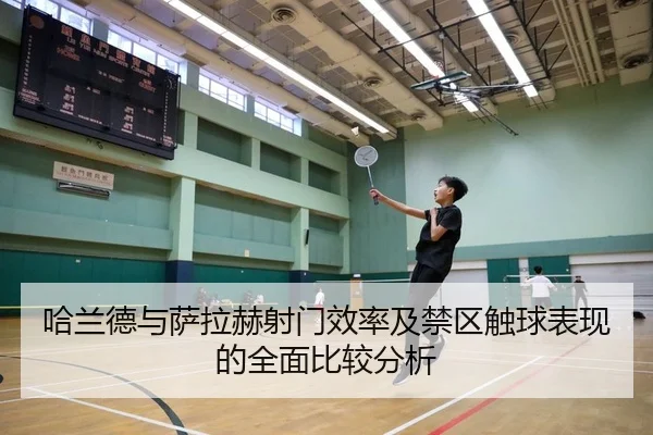 哈兰德与萨拉赫射门效率及禁区触球表现的全面比较分析